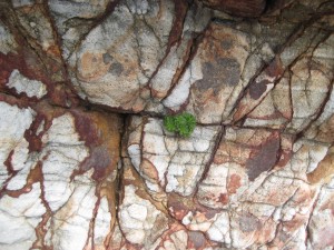 IMG_0485.JPG